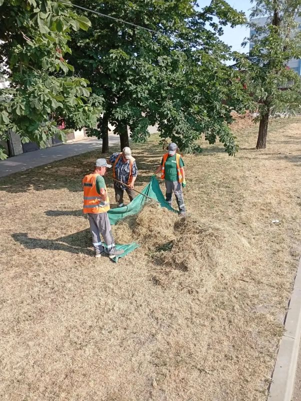 Коммунальщики продолжают борьбу с высокой растительностью Коммунальщики продолжают борьбу с высокой растительностью