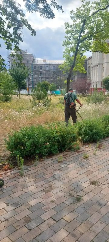 В Мариуполе продолжается активный покос травы В Мариуполе продолжается активный покос травы