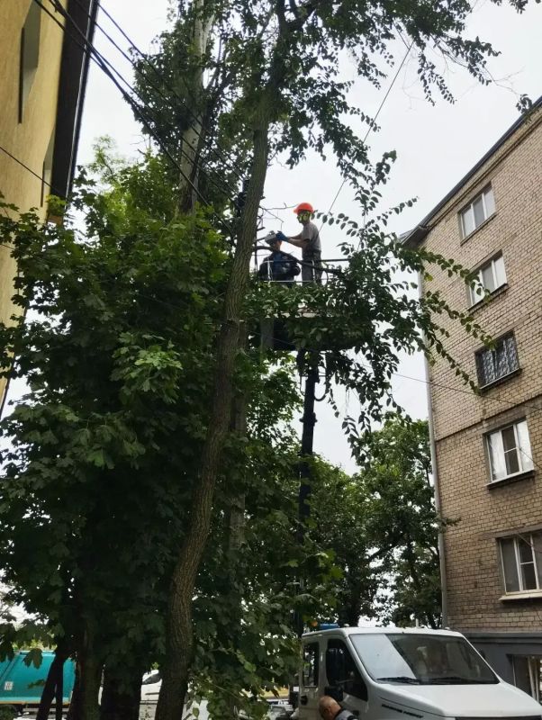 Энергетики отчитались о работах на минувшей неделе Энергетики отчитались о работах на минувшей неделе