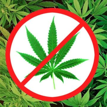 Напоминаем: запрещено культивировать, распространять и употреблять наркотические средства!