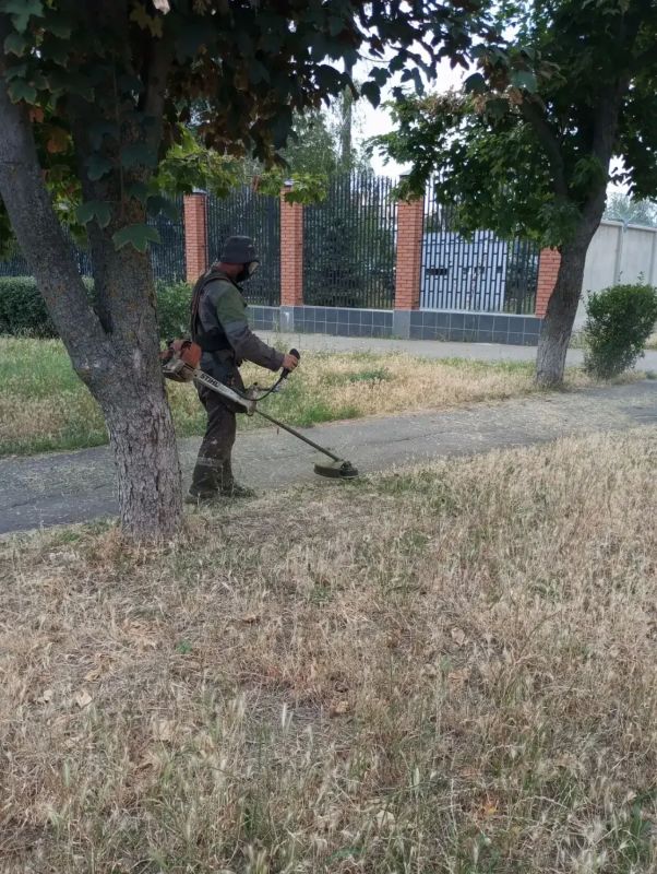Коммунальщики усилили полив зеленых насаждений Коммунальщики усилили полив зеленых насаждений