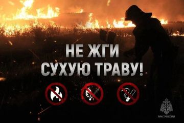 Пал сухостоя — реальная угроза! Напоминание от МЧС