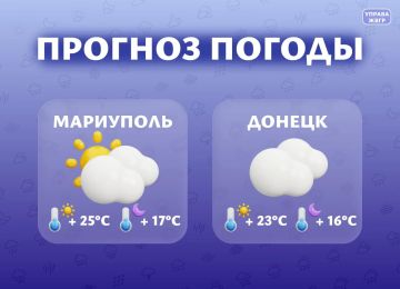 ������� ������ �� 29 ����. ���������