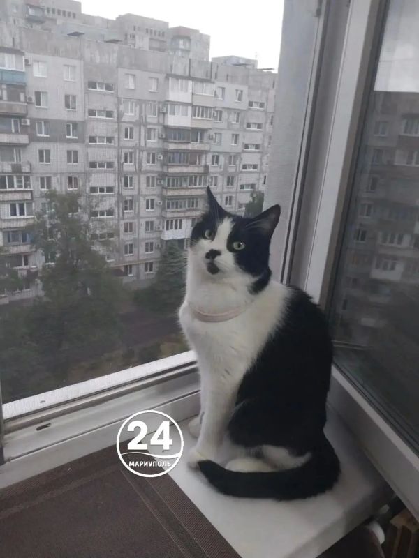 Спокойной ночи, Мариуполь!
