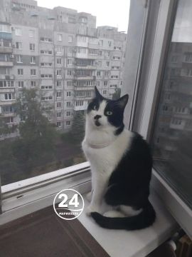 Спокойной ночи, Мариуполь!