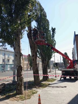 Порядок в городе — результат ежедневной работы специалистов