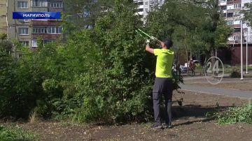 � ��������� �������� � ������� ������������ ������������! 04.08.2026