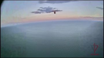 Операторы БПЛА Росгвардии поразили беспилотник ВСУ в небе над Азовским морем