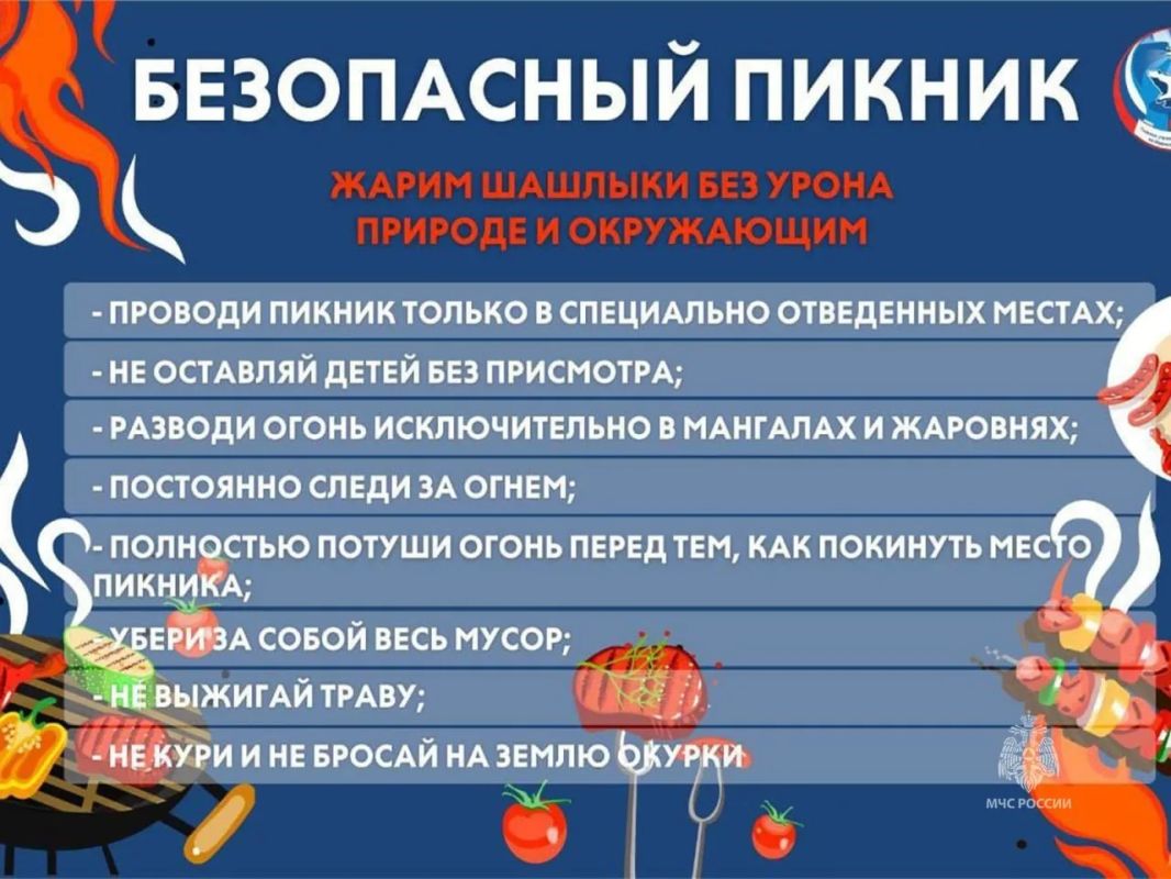 Дача, пикник, шашлыки — отдыхайте безопасно! Дача, пикник, шашлыки — отдыхайте безопасно!