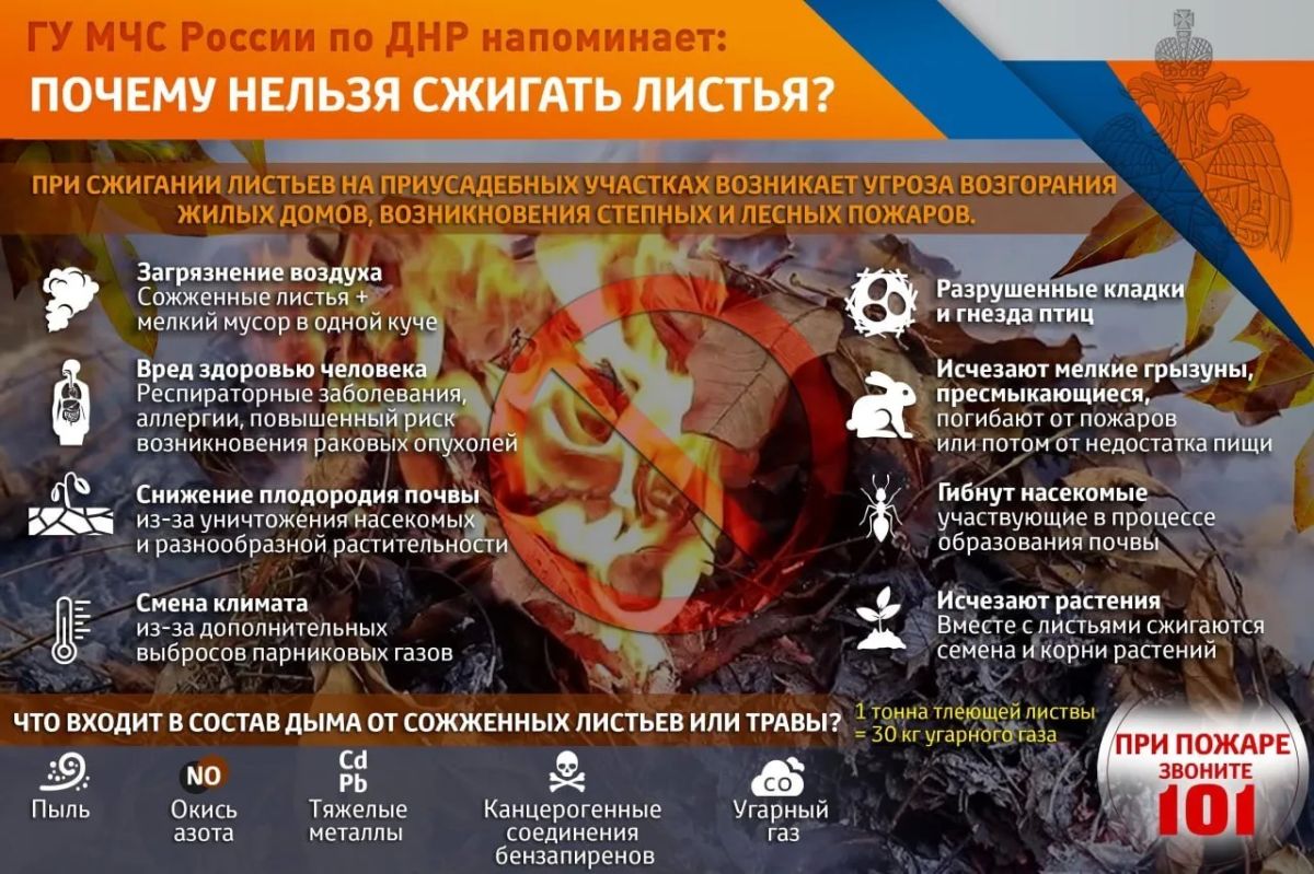 Дача, пикник, шашлыки — отдыхайте безопасно! Дача, пикник, шашлыки — отдыхайте безопасно!
