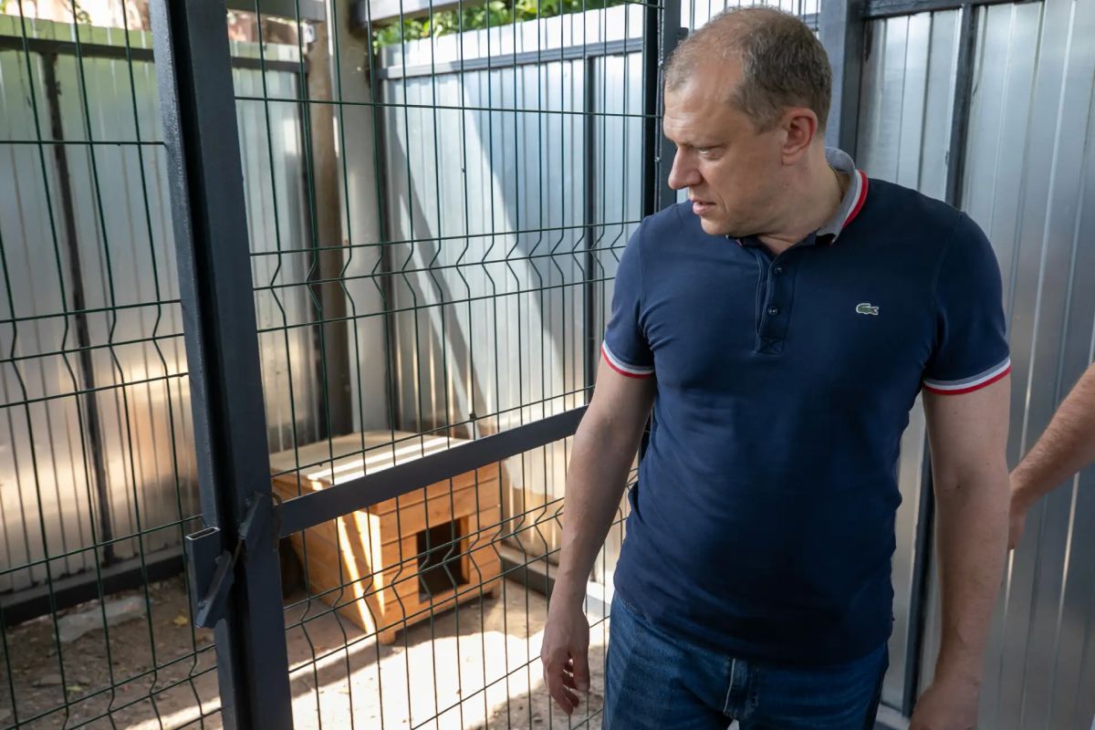 Антон Кольцов: Усиливаем работу по отлову и стерилизации безнадзорных животных Антон Кольцов: Усиливаем работу по отлову и стерилизации безнадзорных животных
