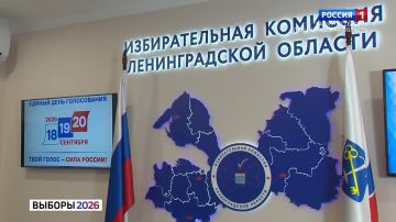 Два избирательных участка откроют в Мариуполе специально для петербуржцев, участвующих в восстановлении города-побратима