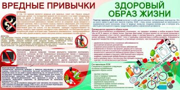 Здоровый образ жизни — основа благополучия