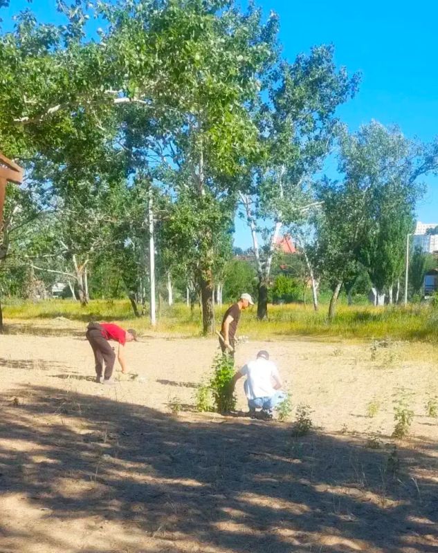 Экологическая акция на побережье Орджоникидзевского района Экологическая акция на побережье Орджоникидзевского района