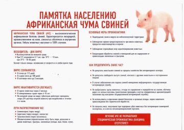 ������ � �����: ������� �� ����������� ���� ������ (���)