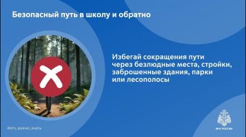 Безопасная дорога в школу. МЧС ДНР напоминает: