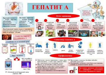 Гепатит А: как защитить себя и близких