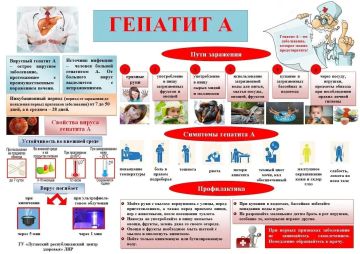 Гепатиты А, В и С: как защитить печень