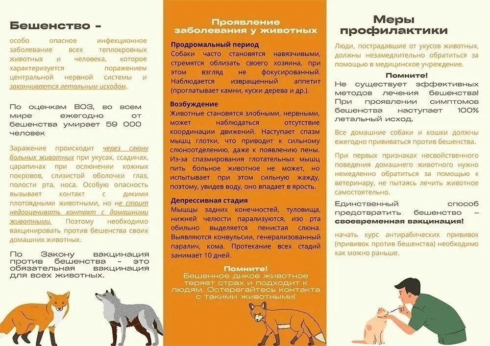 Бешенство: как защитить себя и питомца Бешенство: как защитить себя и питомца