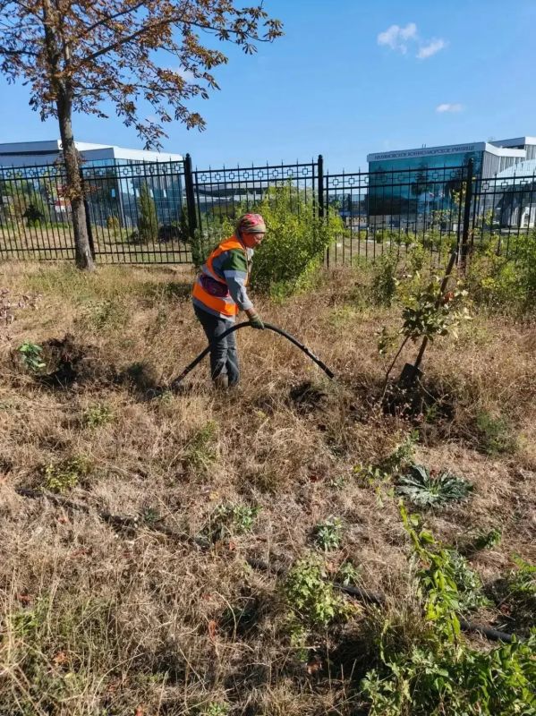 В Мариуполе продолжают обновлять и благоустраивать городскую инфраструктуру В Мариуполе продолжают обновлять и благоустраивать городскую инфраструктуру