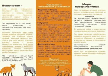 ФБУЗ «Центр гигиены и эпидемиологии в Донецкой Народной Республике» уведомляет граждан о необходимости соблюдения мер безопасности и профилактики бешенства