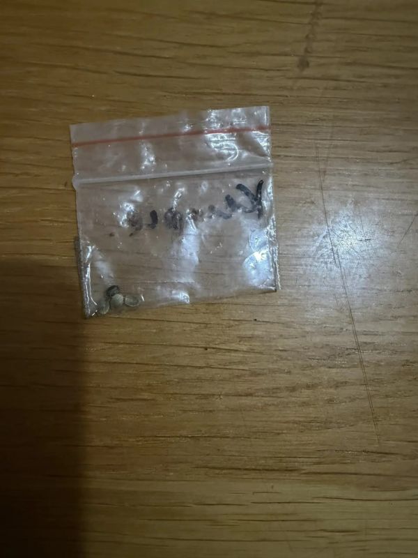 Полицейские выявили факт незаконного хранения наркотиков в Иловайске Полицейские выявили факт незаконного хранения наркотиков в Иловайске