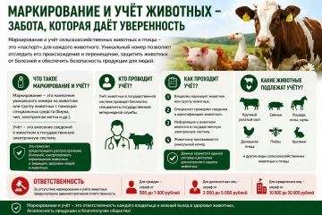 Маркировка животных: что это и как работает?