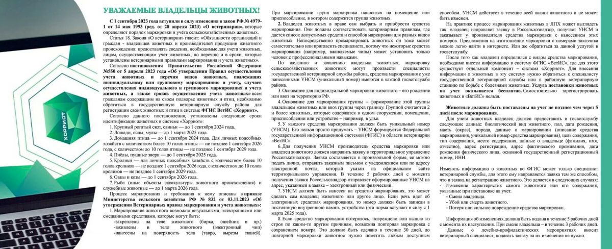 Маркировка животных: что это и как работает? Маркировка животных: что это и как работает?