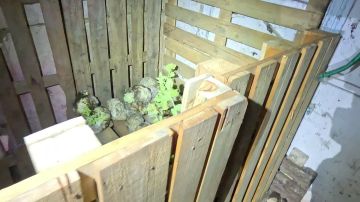 Херсонским областным судом вынесен приговор жителю региона, причастному к шпионажу
