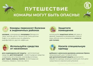 Путешествие: комары могут быть опасны