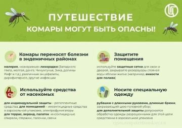 Путешествие: комары могут быть опасны!