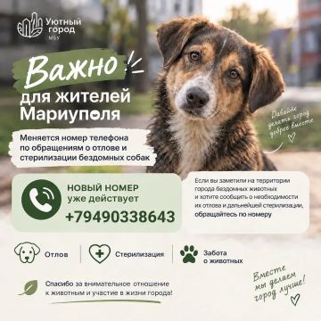 ����� ��� �������: ��������� ����� ��������