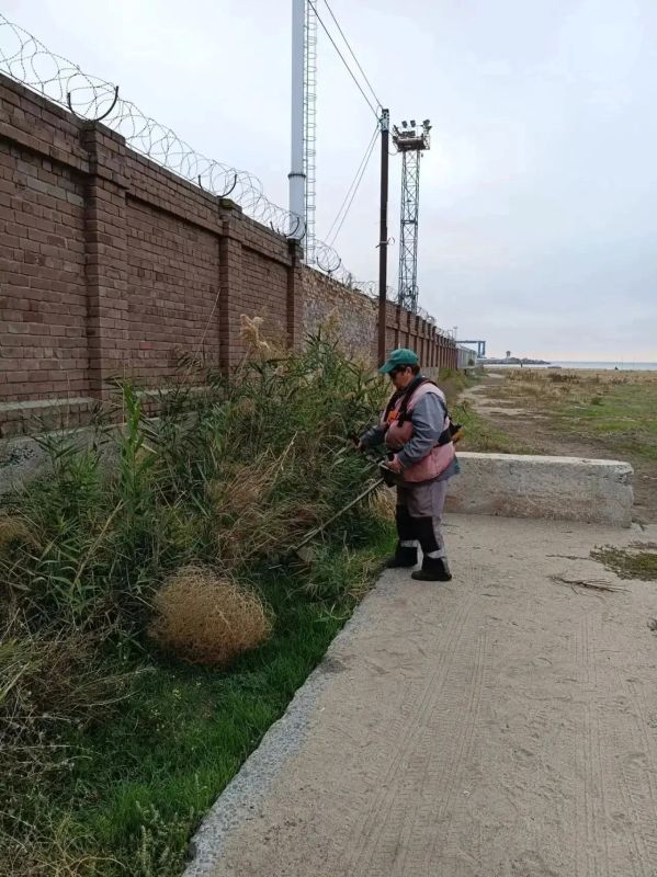 В муниципальном учреждении «Уютный город» рассказали о результатах работ за 13 октября В муниципальном учреждении «Уютный город» рассказали о результатах работ за 13 октября