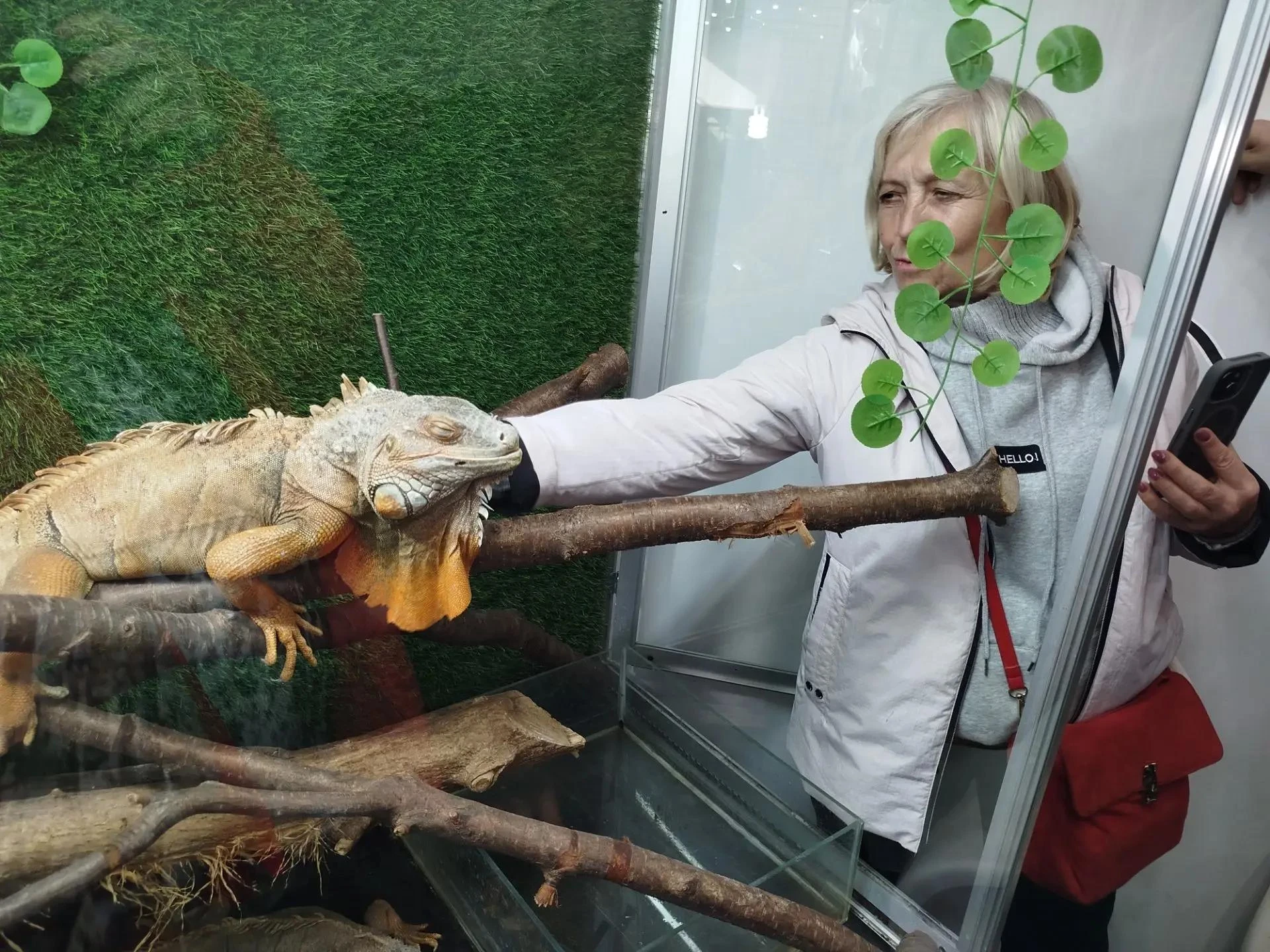 Экзотические встречи: Путешествие в мир удивительных животных