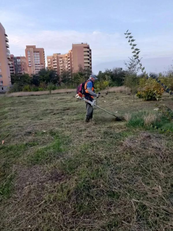 В муниципальном учреждении «Уютный город» поделились результатами работ за 28 октября В муниципальном учреждении «Уютный город» поделились результатами работ за 28 октября